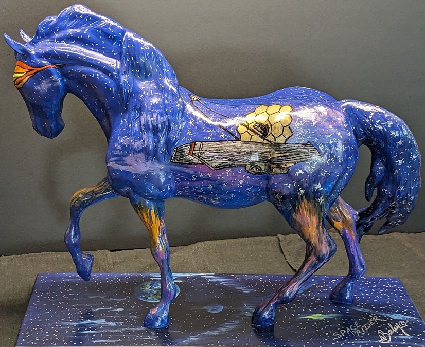"Space Rider"